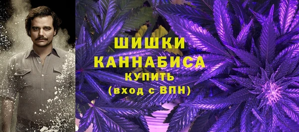 СК Корсаков