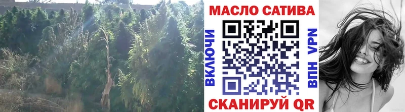 Купить  Кодинск  ТГК жижа 