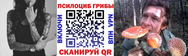 Купить где Кодинск Псилоцибиновые грибы мухоморы