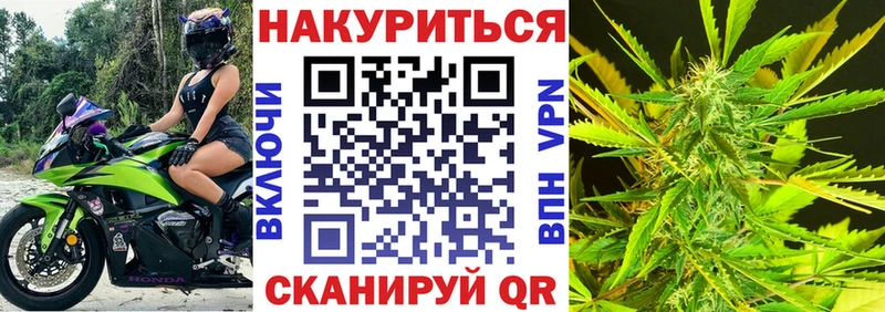 Купить  Кодинск  Бошки марихуана семена 